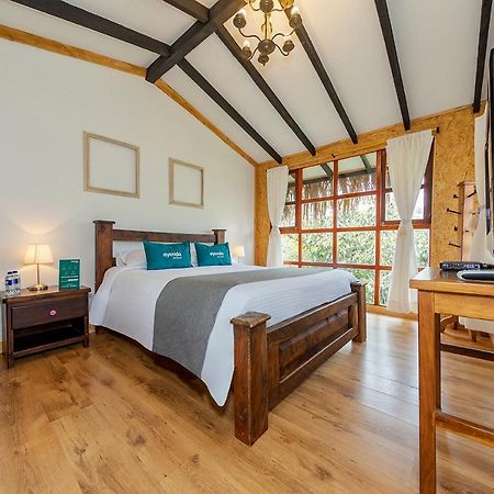 Ayenda Llanogrande Inn Rionegro Luaran gambar
