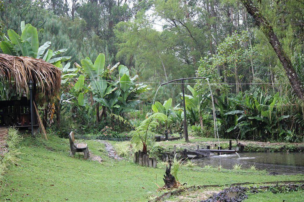 Ayenda Llanogrande Inn Rionegro Luaran gambar