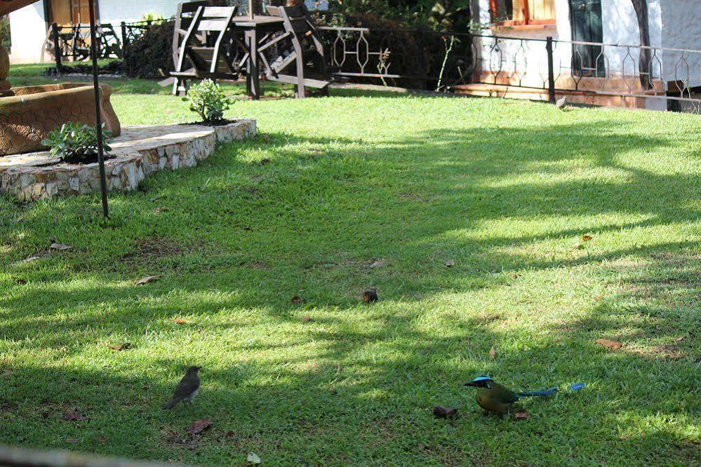 Ayenda Llanogrande Inn Rionegro Luaran gambar